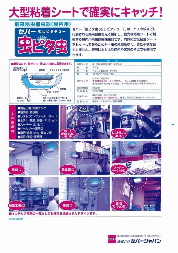 2012虫ピタ虫 (２）.jpg